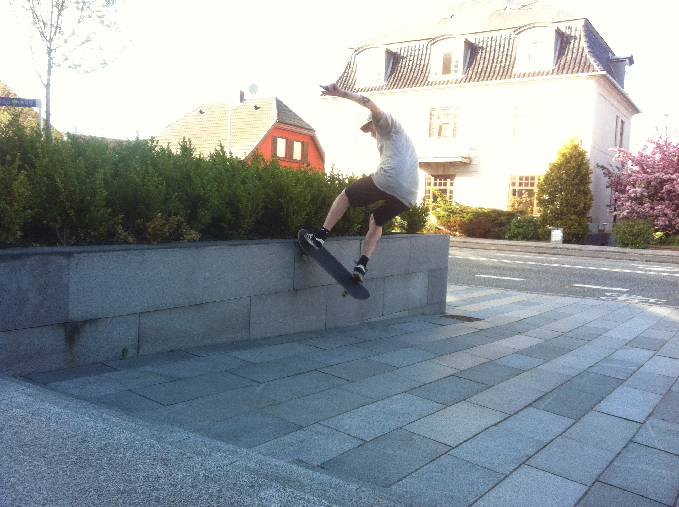 Mads Christensen Chris Larsson Pierre Stachurska Ronni Kjærside Asmus Harm Morten Eriksen Skateboard Skateboarding copenhagen skatesession skatetrip labforum labcph 